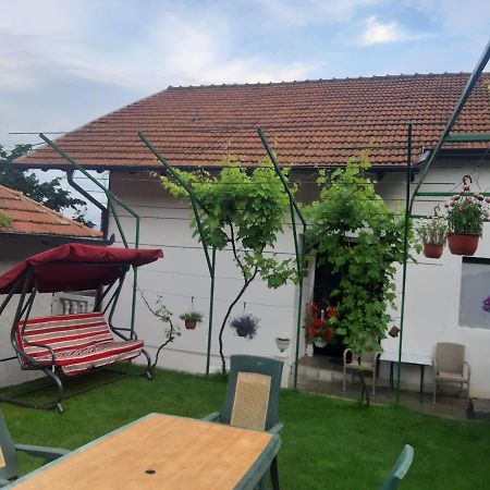 Vila Mir Pirot Kültér fotó