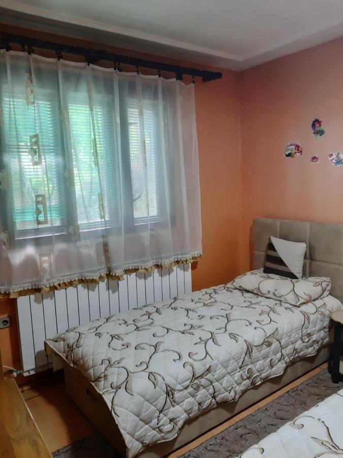 Vila Mir Pirot Kültér fotó