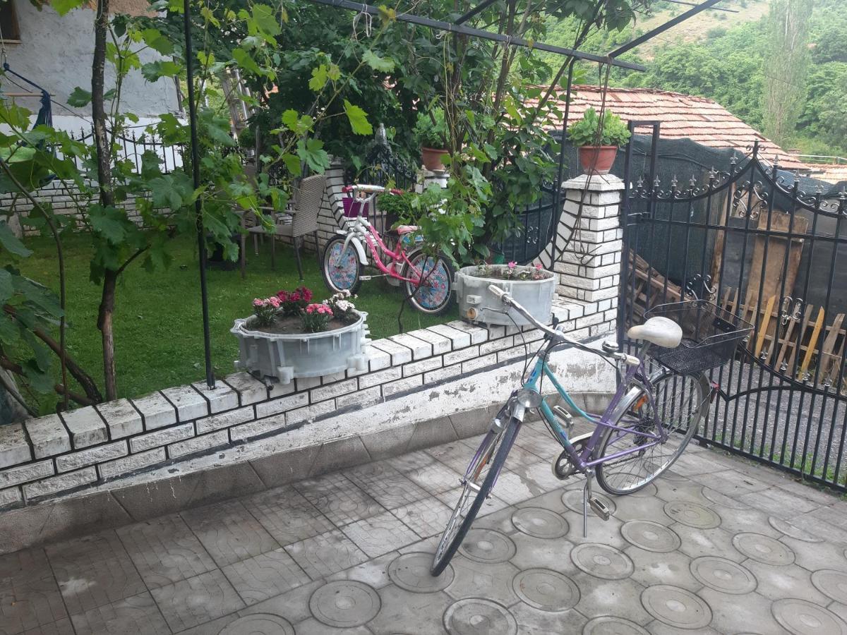 Vila Mir Pirot Kültér fotó
