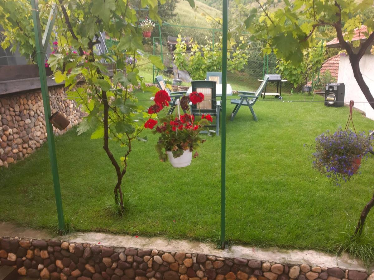 Vila Mir Pirot Kültér fotó