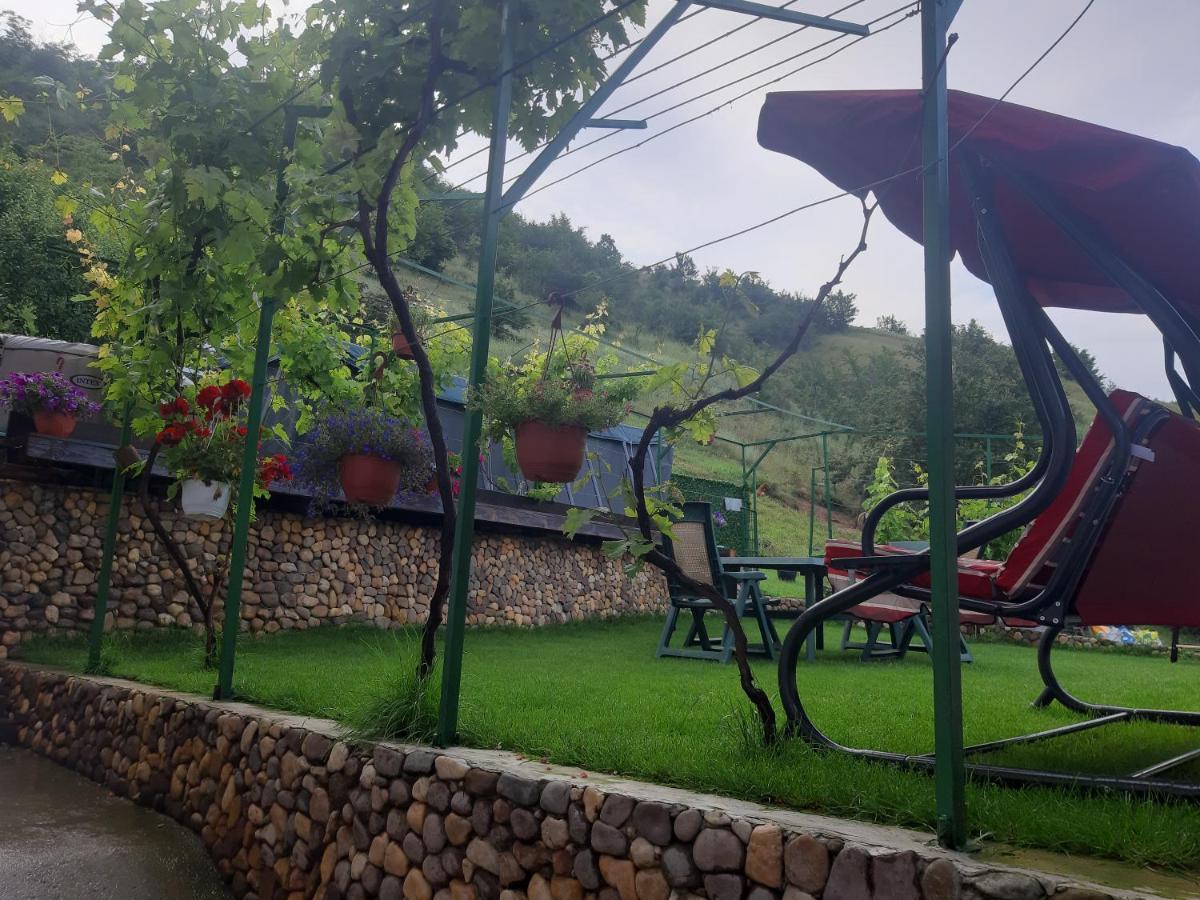 Vila Mir Pirot Kültér fotó