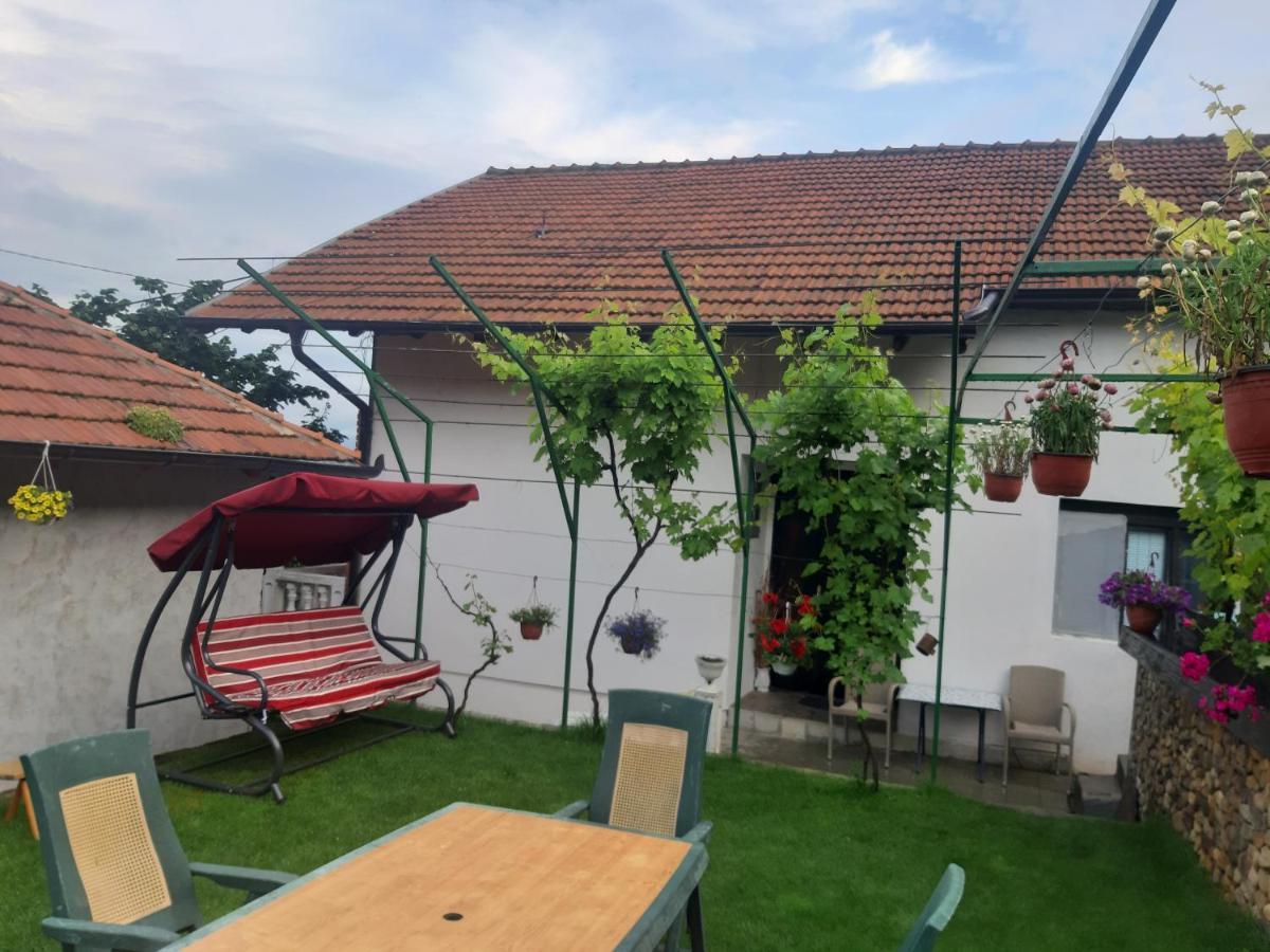 Vila Mir Pirot Kültér fotó